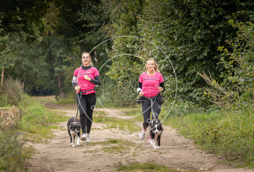 Pfotenfotografie_DV3A8435 | Hundefotografie, Tierfotograf, Pfotenfotografie, Fotoshooting Hund, Hunde Portrait, Hundesport, Hundeportraits, Heideshooting, Hunde, Sportfotograf, Hundefotograf, Turnierhundsport, THS,  - Realisiert mit Pictrs.com