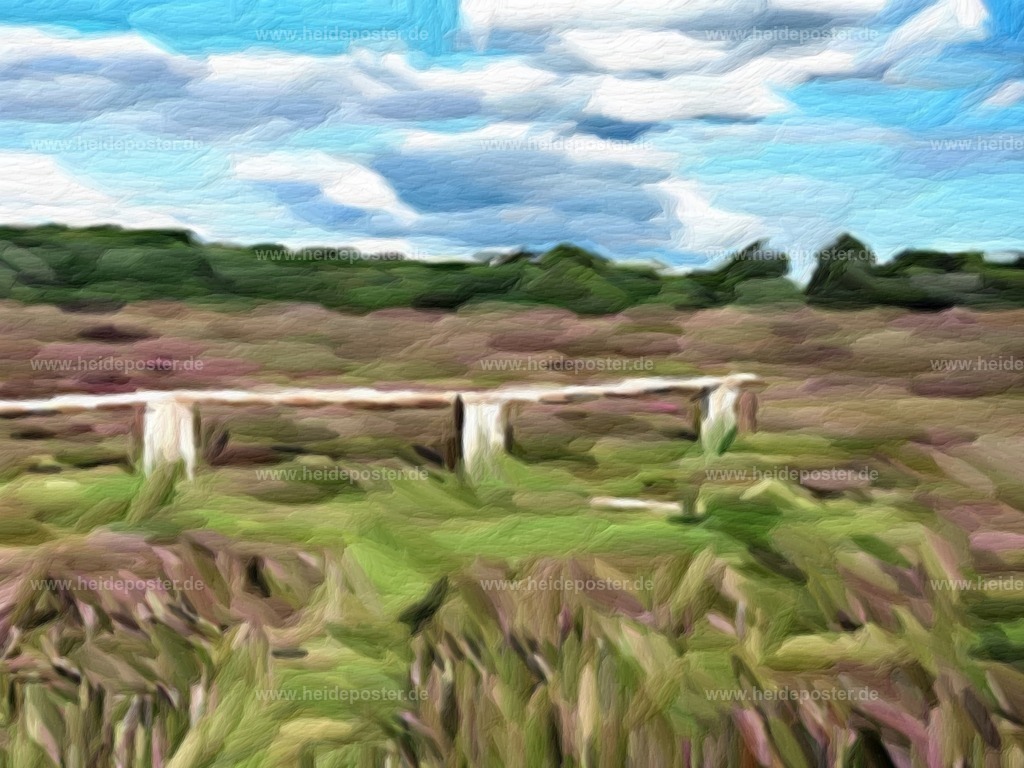 brushed_DSCN4813 | Poster aus der Lüneburger Heide - Realisiert mit Pictrs.com