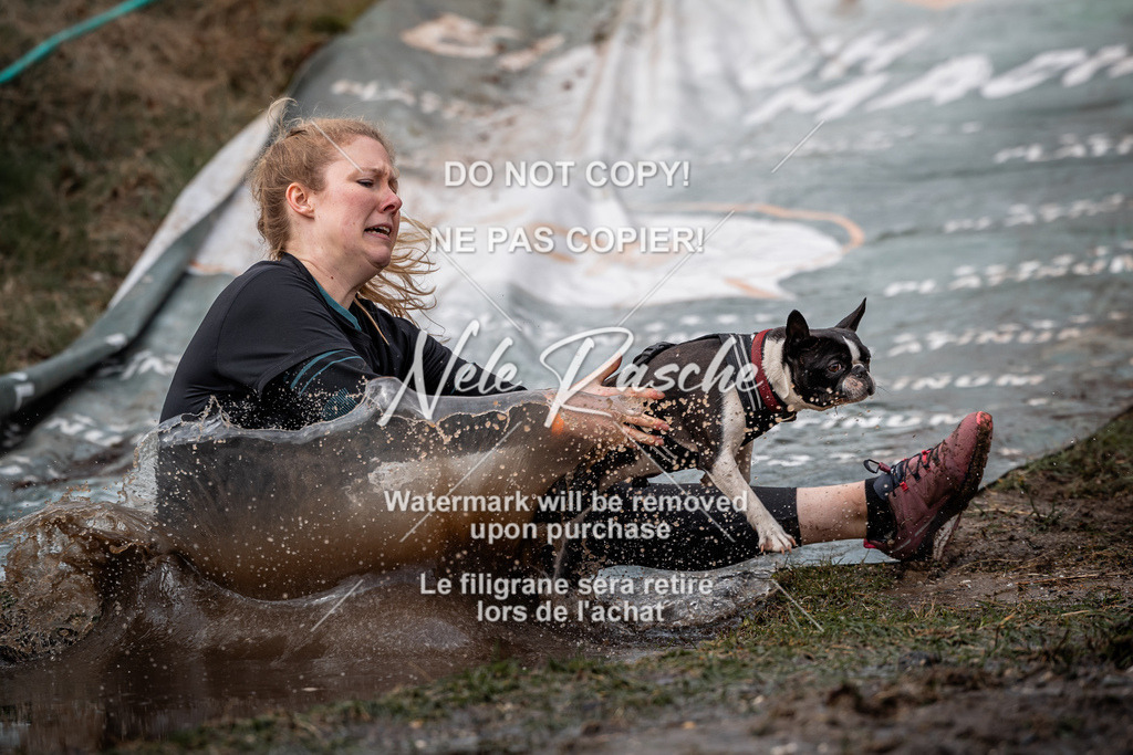nelerasche_1330-1400_299 | nelerasche
