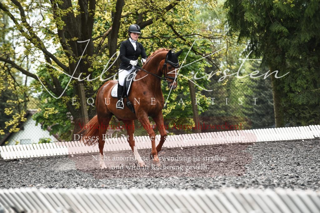 20230514_JK-Röhrsdorf-24-007 | Pferde- und Turnierfotografie in Westsachsen. Pferdeportraits, Auftragszeichnungen und intuitive Kunst.