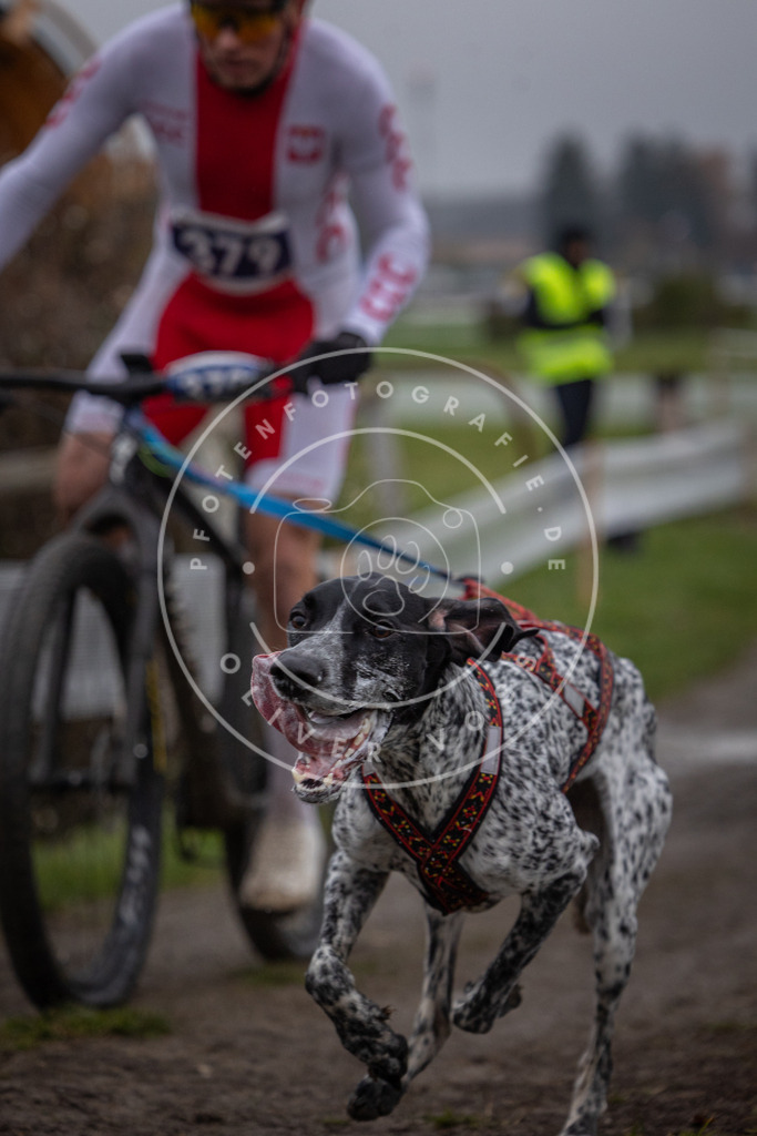 CaniXpix_0L8A0979 | Hundefotografie, Tierfotograf, Pfotenfotografie, Fotoshooting Hund, Hunde Portrait, Hundesport, Hundeportraits, Heideshooting, Hunde, Sportfotograf, Hundefotograf, Turnierhundsport, THS,  - Realisiert mit Pictrs.com