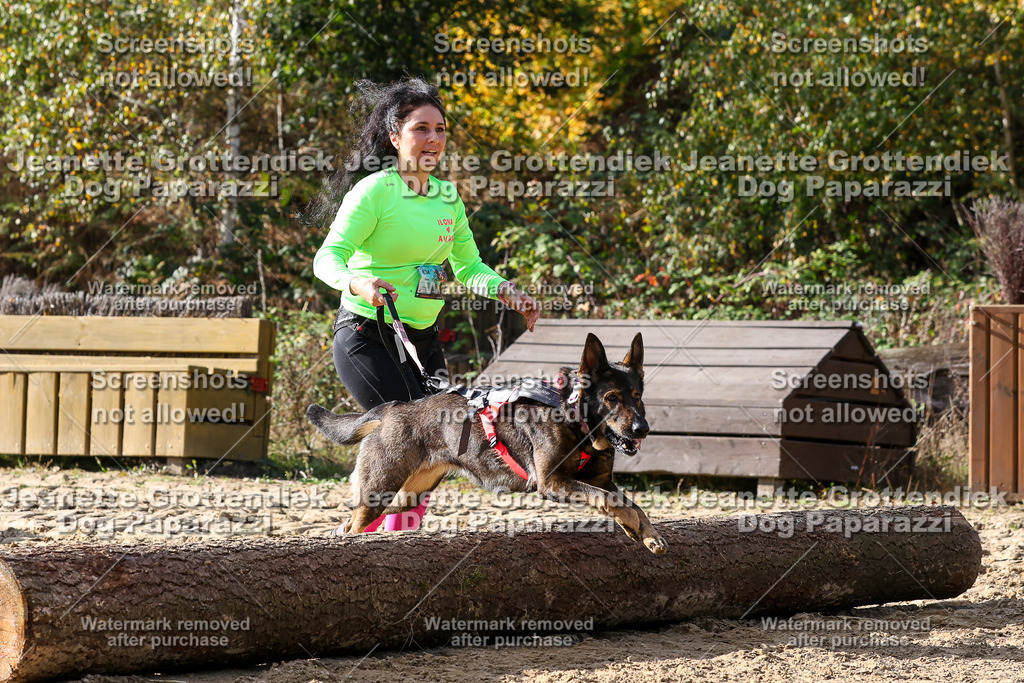 Dog Paparazzi - Strongdog 10-25-5871 | Dog Paparazzi Jeanette Grottendiek Fotografie & Videografie - Realisiert mit Pictrs.com