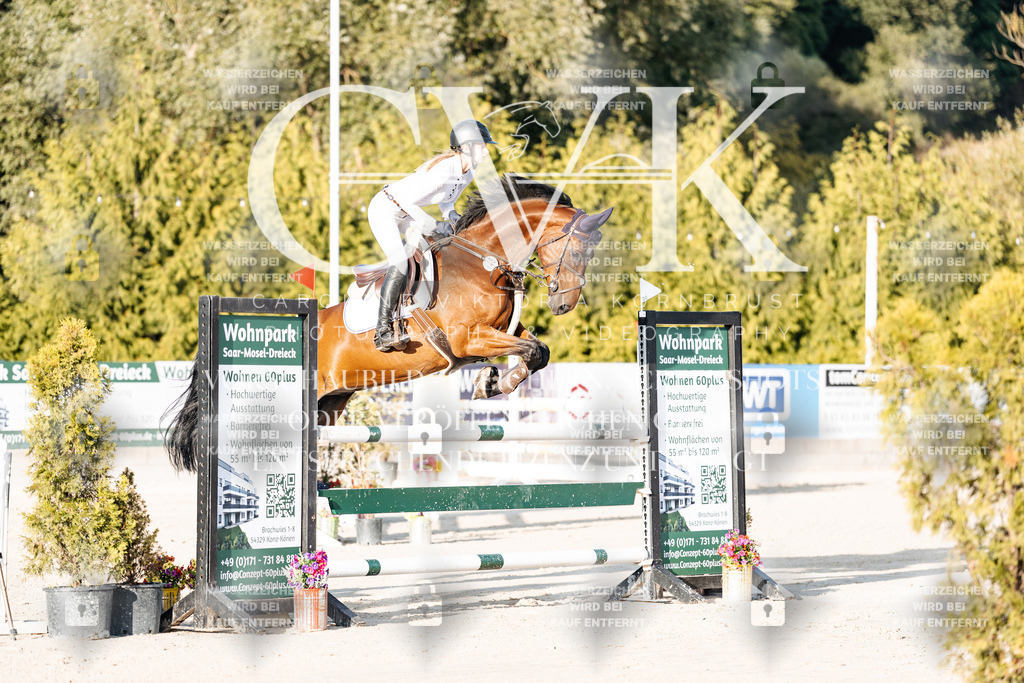 CK900644 | Turnierfotografie Pferdefotografie Trier Rheinland-Pfalz Pferdesport Reitsport Tierfotografie Sportfotografie Pferdevideo Pferdevideografie Equestrianvideography equestrianphotography  - Realisiert mit Pictrs.com