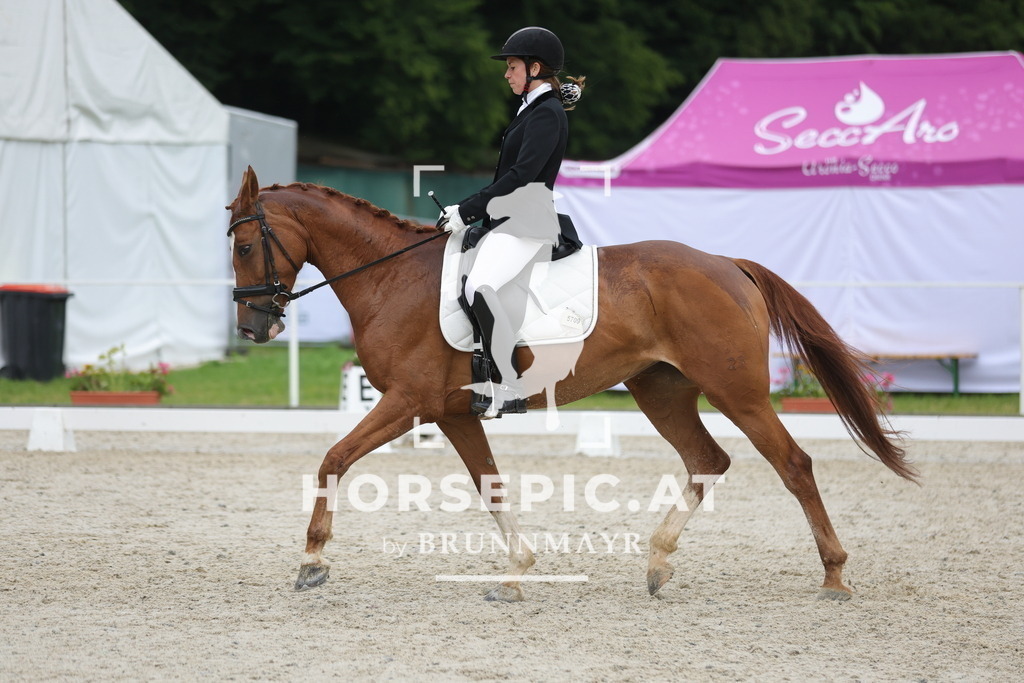 0P6A3593 | Willkommen bei Brunnmayr - Design & Fotografie – Ihrem Spezialisten für Reitturniere und Pferdeveranstaltungen in Oberösterreich, Salzburg und Bayern! Seit über 17 Jahren sind wir leidenschaftlich dabei.