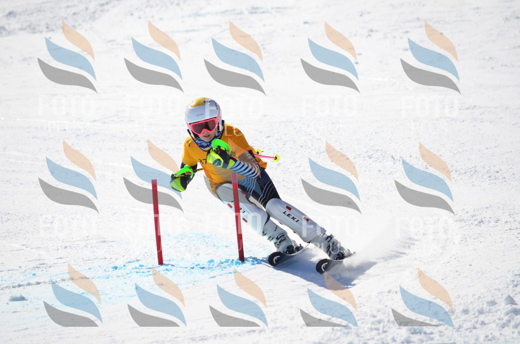 C9611 | holidayphoto