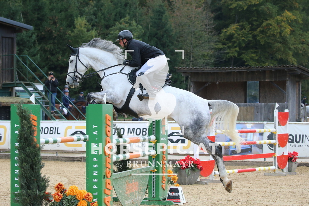 DL2Q2683 | Willkommen bei Brunnmayr - Design & Fotografie – Ihrem Spezialisten für Reitturniere und Pferdeveranstaltungen in Oberösterreich, Salzburg und Bayern! Seit über 17 Jahren sind wir leidenschaftlich dabei.
