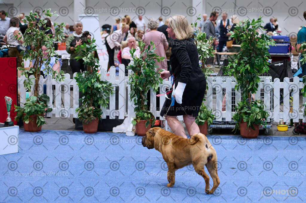 202406_ÖKV-IHA-Tulln24_DSC_3646 | proPHOTO - Realisiert mit Pictrs.com