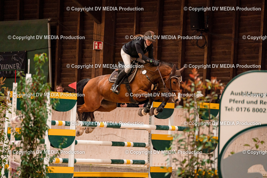 Springen Tag 3-335 | dv-media-shop - Realisiert mit Pictrs.com