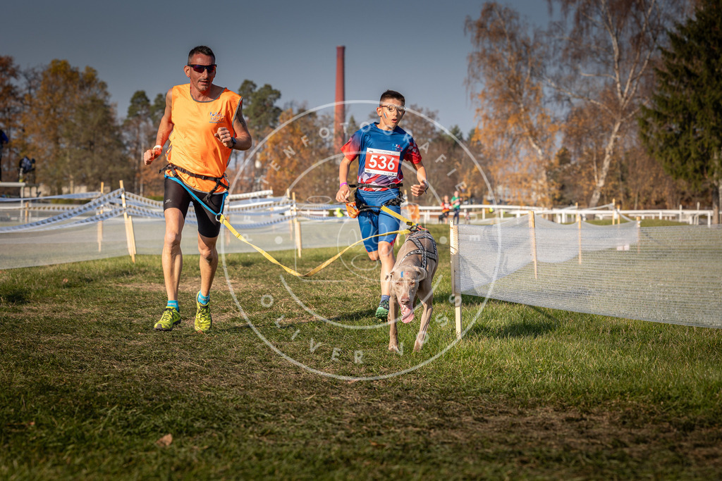 CaniXpix_0L8A8966 | Hundefotografie, Tierfotograf, Pfotenfotografie, Fotoshooting Hund, Hunde Portrait, Hundesport, Hundeportraits, Heideshooting, Hunde, Sportfotograf, Hundefotograf, Turnierhundsport, THS,  - Realisiert mit Pictrs.com