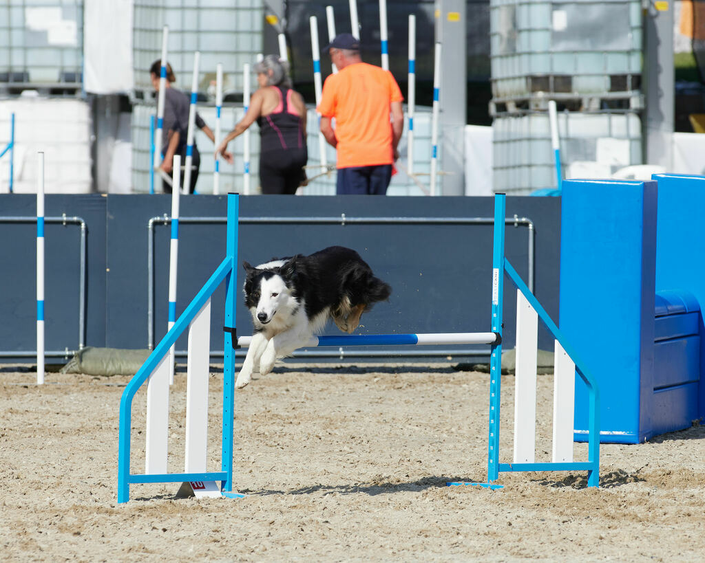 580A0093 | Peter Fridle Fotografie - Realisiert mit Pictrs.com