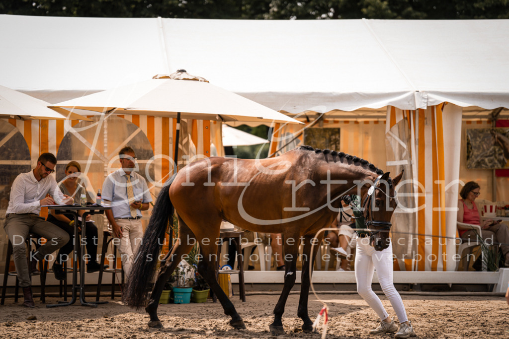 3.Fr00111 | Leoni Ertmer Photography - Realisiert mit Pictrs.com