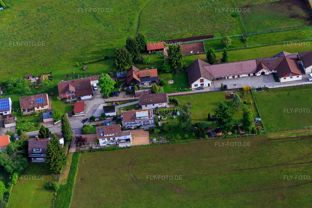 Luftbild: Gestüt Dobel in Dobel im Bundesland Baden-Württemberg in Deutschland. – Foto: IMG_079787.jpg vom 31.05.2015 durch Werner Riehm/FLY-FOTO.de – Auflösung des Originals: 5472 x 3648 px – Gestüt Dobel - Heimatgestüt von Olympiasiegern & Weltmeistern
