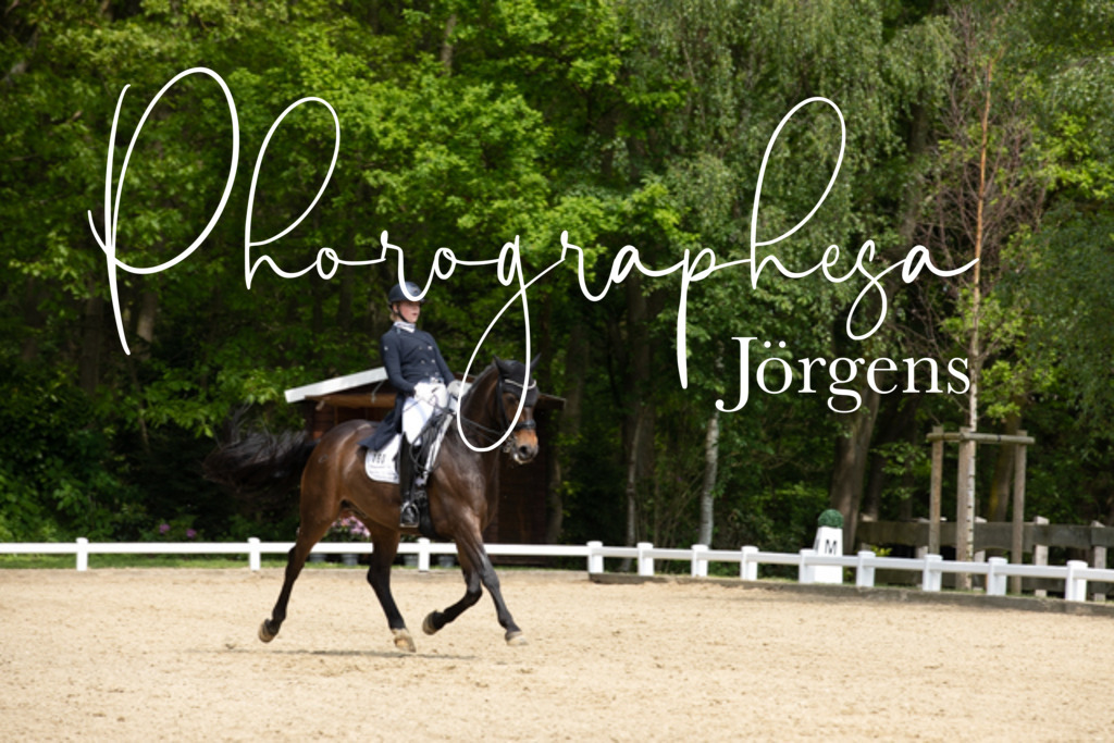 IMG_1488 | photographesa-joergens - Realisiert mit Pictrs.com