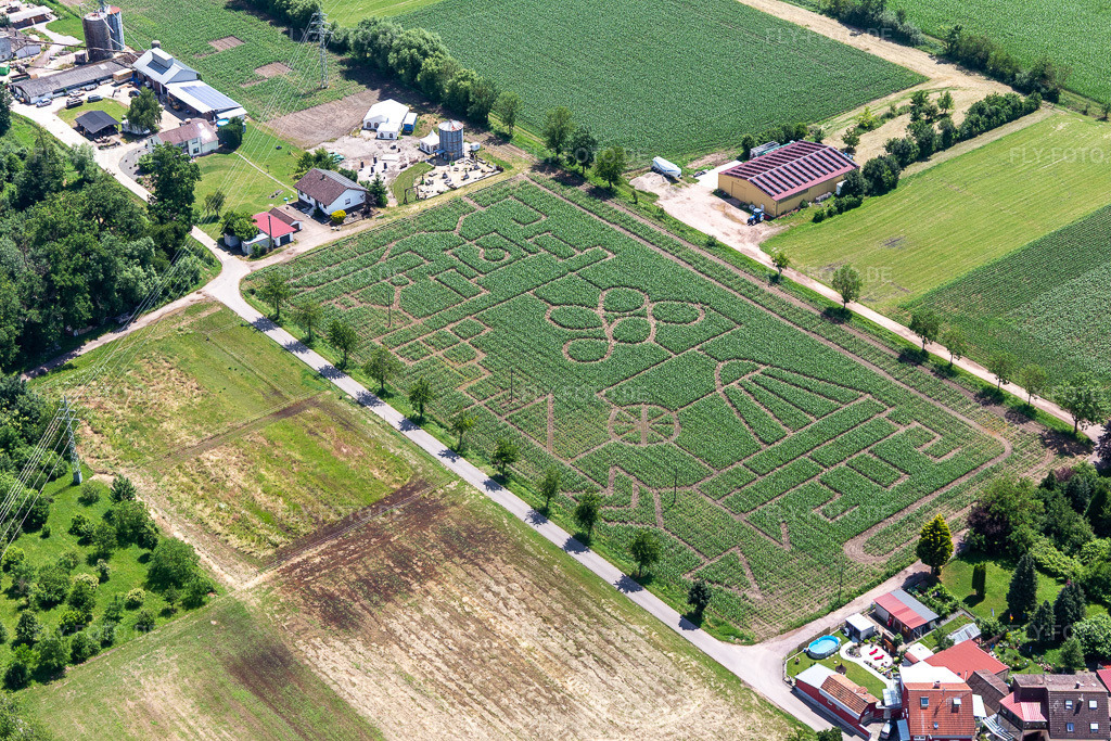 Luftbild: Maislabyrinth & Beachlounge Steinweiler Seehof in Steinweiler im Bundesland Rheinland-Pfalz in Deutschland. Foto: IMG_127245.jpg vom 26.06.2021 durch Werner Riehm/FLY-FOTO.de