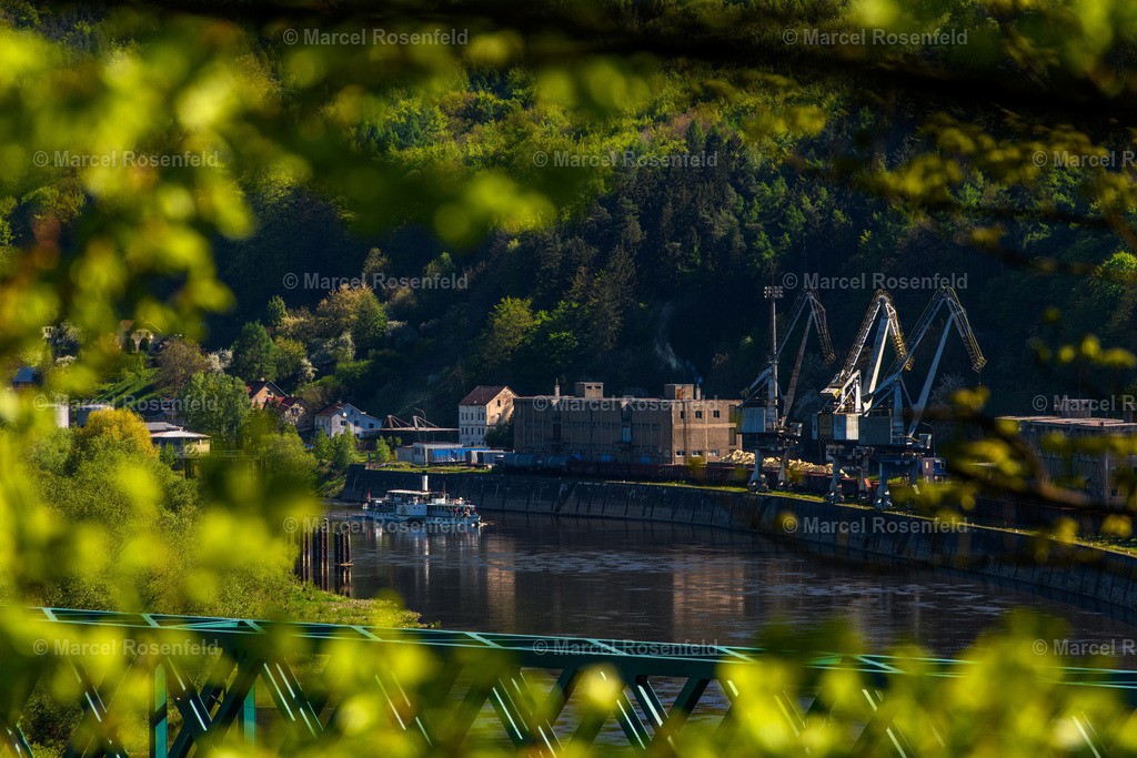_DSC3686 (1) | foto-rosenfeld