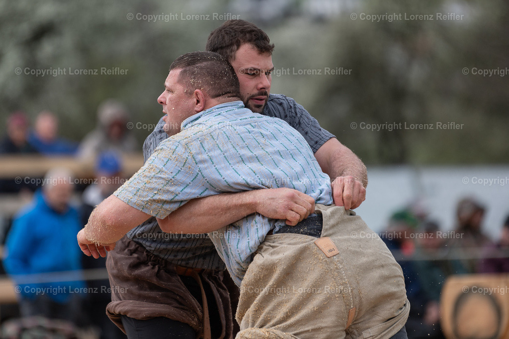 Schwingen -  Rheintal-Oberländer 2024 | Trübbach, 24.3.24, Schwingen - Rheintal-Oberländer.