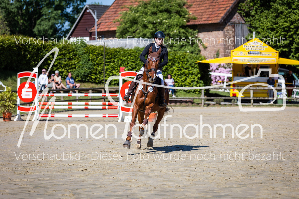 Donop24-A2Spr-130 | MomenTaufnahmen Pferdesportfotos