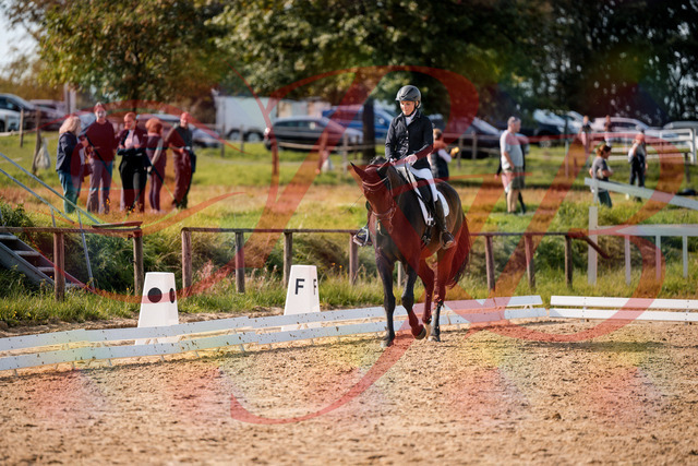 2026_10_03_Siefer-Hof_133444_Z63_93253549 | Professionelle Reitsport-, Turnier- und Eventfotografie von Robert Broda. Galerien mit ausgewählten und bearbeiteten Bildern direkt online ansehen und bestellen.