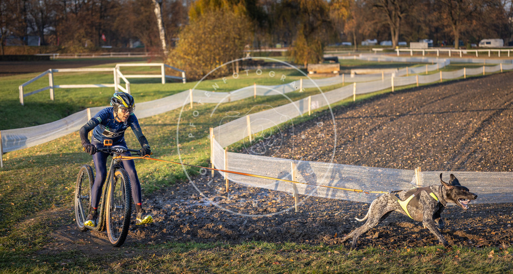 CaniXpix_DV3A9691 | Hundefotografie, Tierfotograf, Pfotenfotografie, Fotoshooting Hund, Hunde Portrait, Hundesport, Hundeportraits, Heideshooting, Hunde, Sportfotograf, Hundefotograf, Turnierhundsport, THS,  - Realisiert mit Pictrs.com