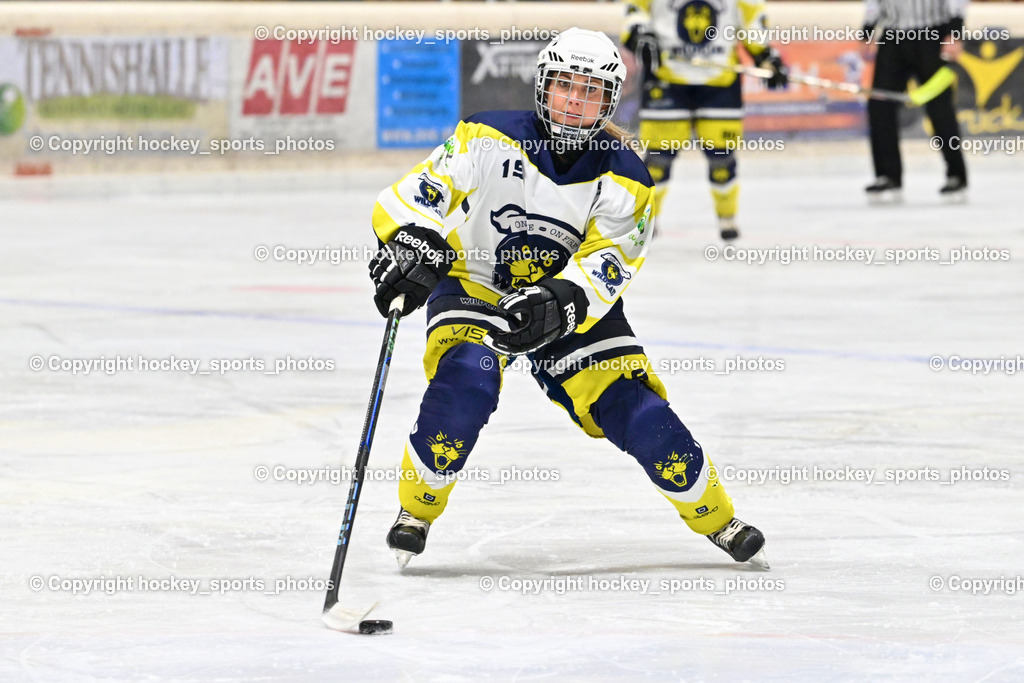Wildcats Paternion vs. Lady Hawks  | #19 Knes Julia WILDCATS PATERNION, Wildcats Paternion vs. Lady Hawks , Wildcats Paternion vs. Lady Hawks  am 27.01.2025 in Spittal an der Drau (Eissportzentrum Spittal), Austria, (Photo by Bernd Stefan)