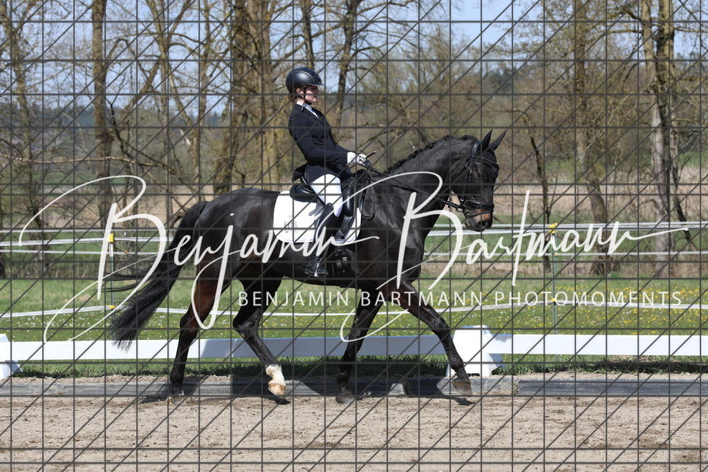 AZ2A4945 | Benjamin Bartmann Photomoments