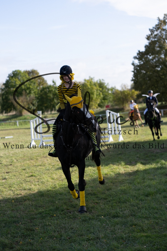 A7V06623 | Pferdefotograf