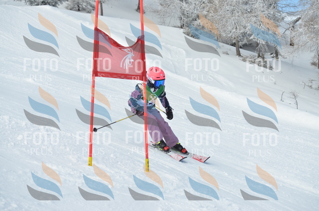 D8668 | holidayphoto