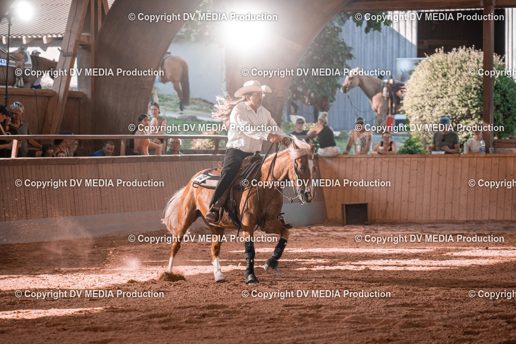 NE201301 | dv-media-shop - Realisiert mit Pictrs.com