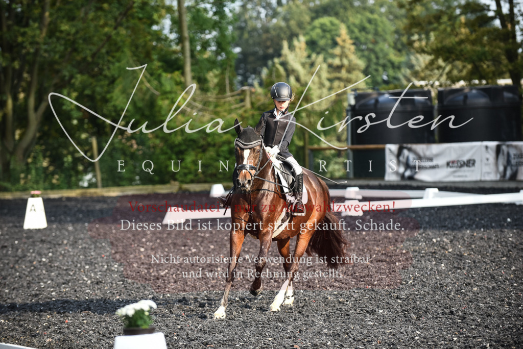 DSC_3540 | Pferde- und Turnierfotografie in Westsachsen. Pferdeportraits, Auftragszeichnungen und intuitive Kunst.