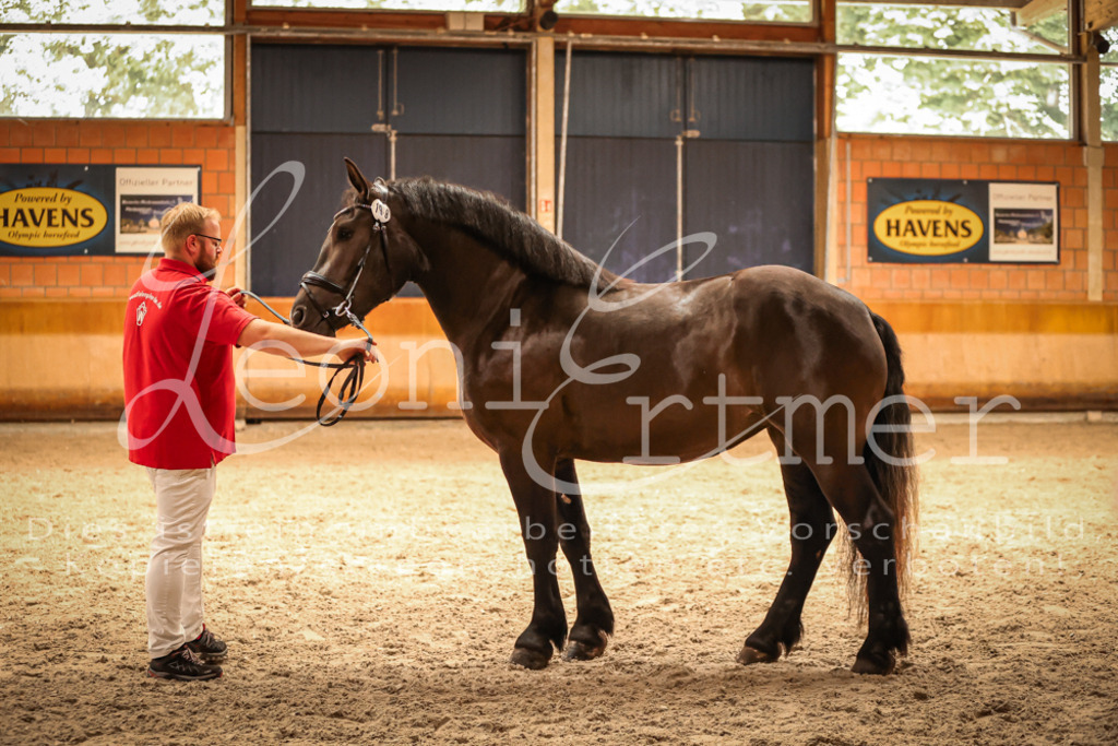 SaFL00369 | Leoni Ertmer Photography - Realisiert mit Pictrs.com