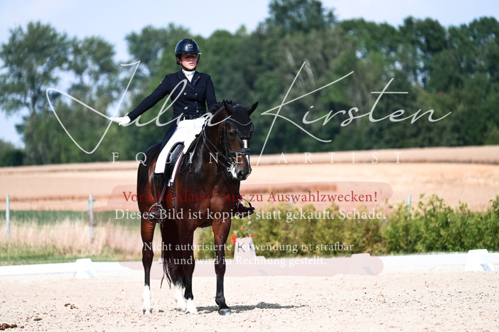 DSC_3342 | Pferde- und Turnierfotografie in Westsachsen. Pferdeportraits, Auftragszeichnungen und intuitive Kunst.