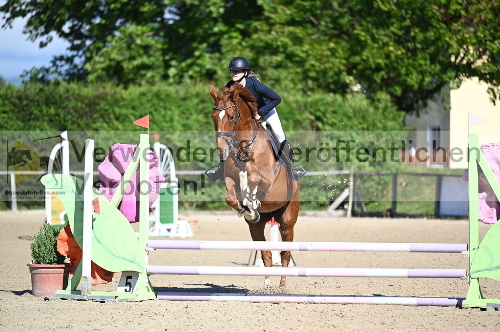 DSC_8012 | equestrian-live-com