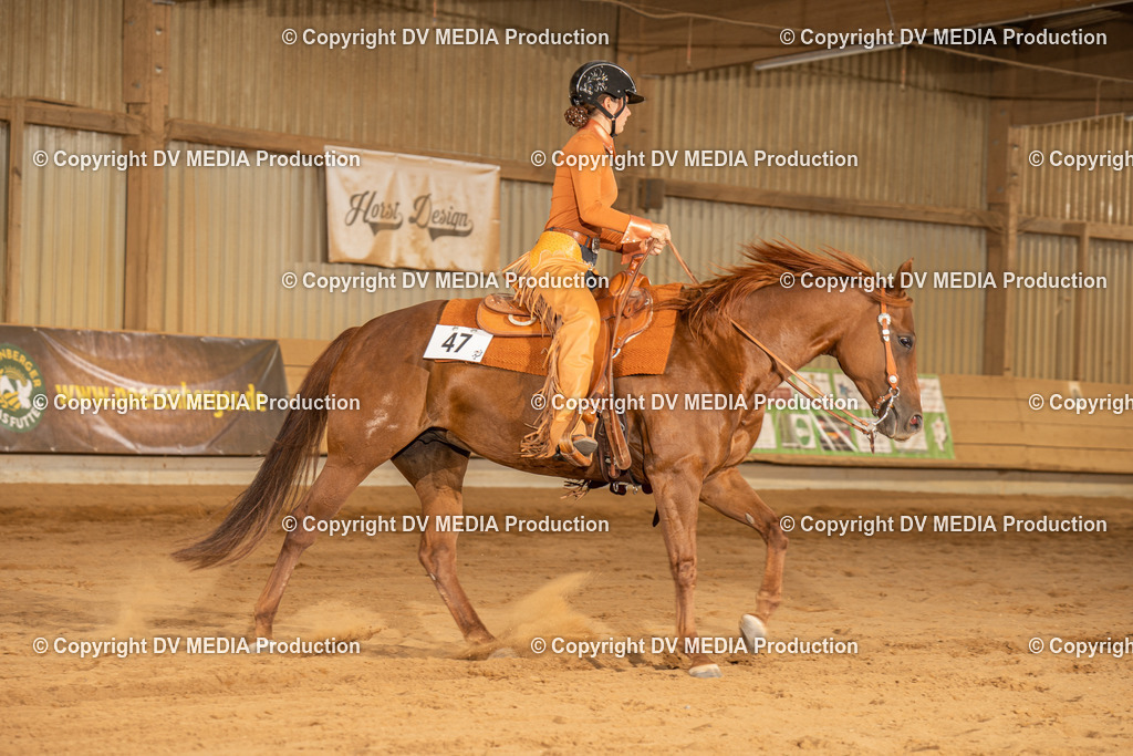 NID03725 | dv-media-shop - Realisiert mit Pictrs.com