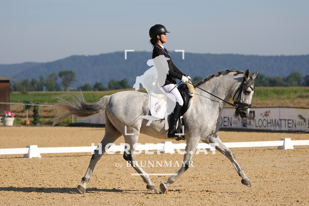 0P6A8727 | Willkommen bei Brunnmayr - Design & Fotografie – Ihrem Spezialisten für Reitturniere und Pferdeveranstaltungen in Oberösterreich, Salzburg und Bayern! Seit über 17 Jahren sind wir leidenschaftlich dabei.