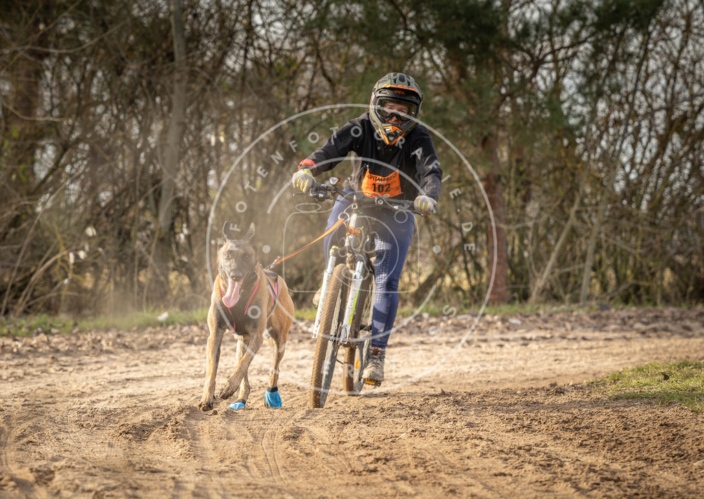 Pfotenfotografie_DV3A8823 | Hundefotografie, Tierfotograf, Pfotenfotografie, Fotoshooting Hund, Hunde Portrait, Hundesport, Hundeportraits, Heideshooting, Hunde, Sportfotograf, Hundefotograf, Turnierhundsport, THS,  - Realisiert mit Pictrs.com