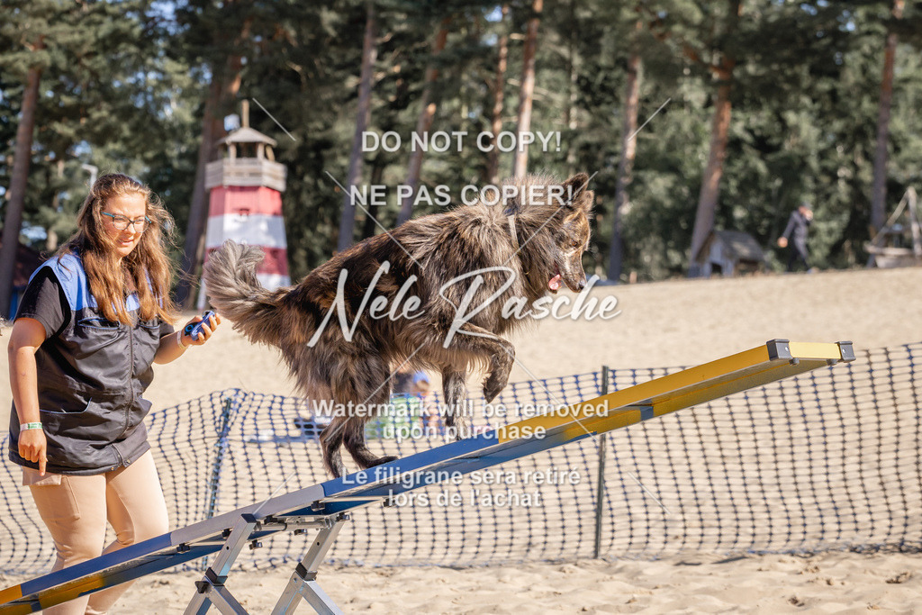 NR__0538 | nelerasche