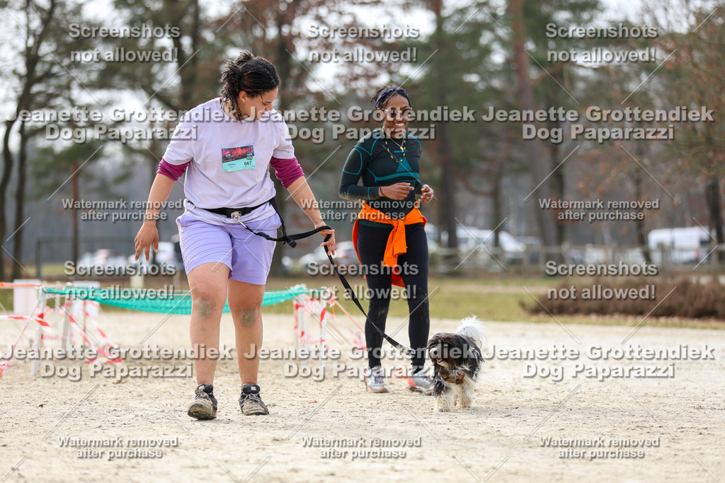 Dog Paparazzi - Strongdog North Mrz26-5768 | Dog Paparazzi Jeanette Grottendiek Fotografie & Videografie - Realisiert mit Pictrs.com