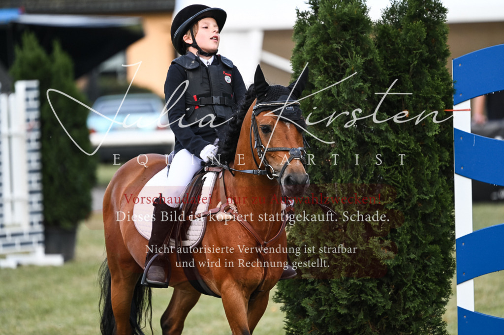 DSC_5567 | Pferde- und Turnierfotografie in Westsachsen. Pferdeportraits, Auftragszeichnungen und intuitive Kunst.