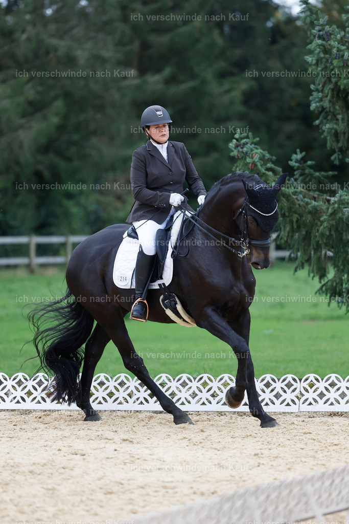 04_2-214-Dressur M__ -StoibPH-2949 | working equitationturnier fotograf videograf stoibphotography marixx film working equitation deutschland reitsport turnierfotografie eventfotografie equestrian events
