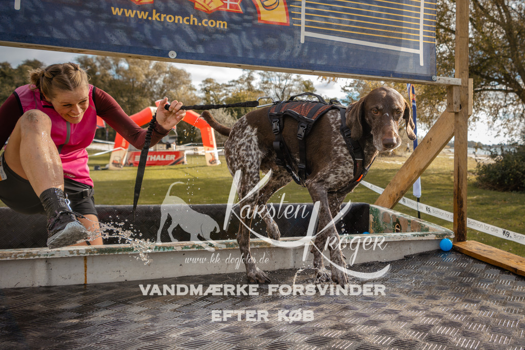 1336_ZZ91587-2 | kk-dogfotos