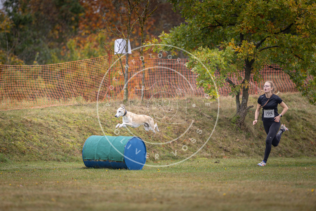 Pfotenfotografie_DV3A1358 | Hundefotografie, Tierfotograf, Pfotenfotografie, Fotoshooting Hund, Hunde Portrait, Hundesport, Hundeportraits, Heideshooting, Hunde, Sportfotograf, Hundefotograf, Turnierhundsport, THS,  - Realisiert mit Pictrs.com