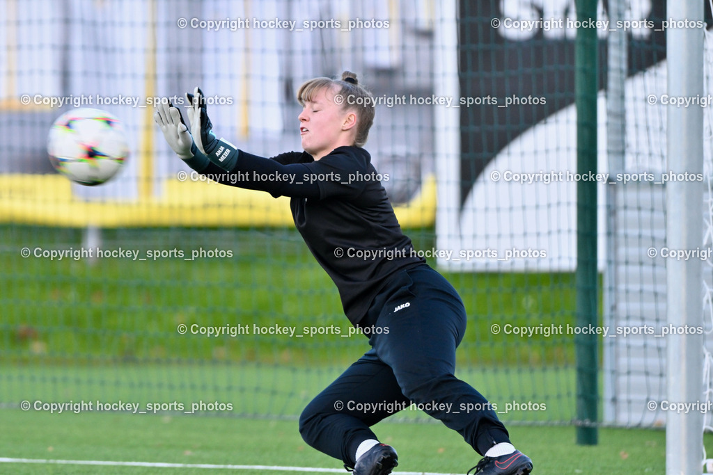 Liwodruck Carinthians Hornets vs. FK Austria Wien Frauen 19.11.2023 | #1 Anja Meier