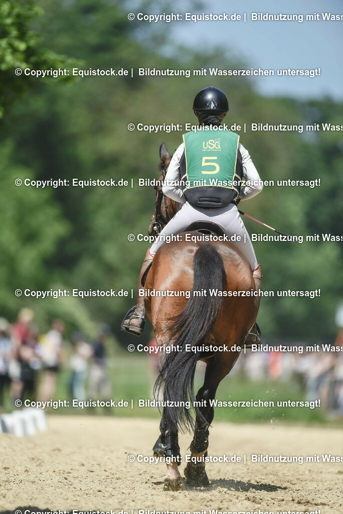 20230527_27_CCI4_Gelände_0017 | equistock