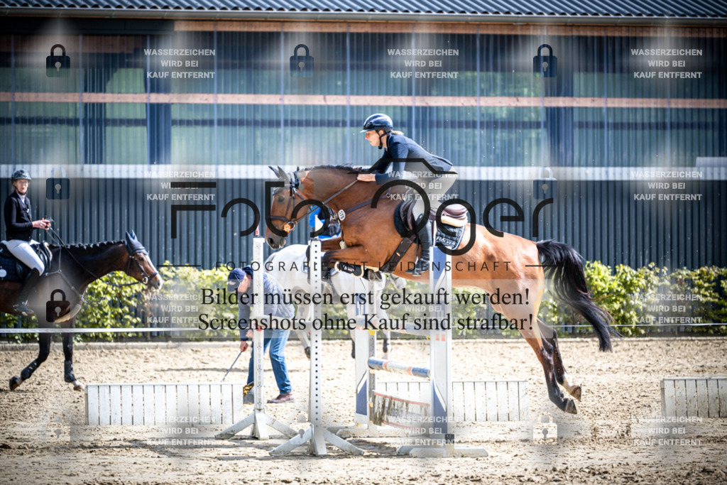 DOS_2699 | Reitturnier Lüdinghausen - Realisiert mit Pictrs.com