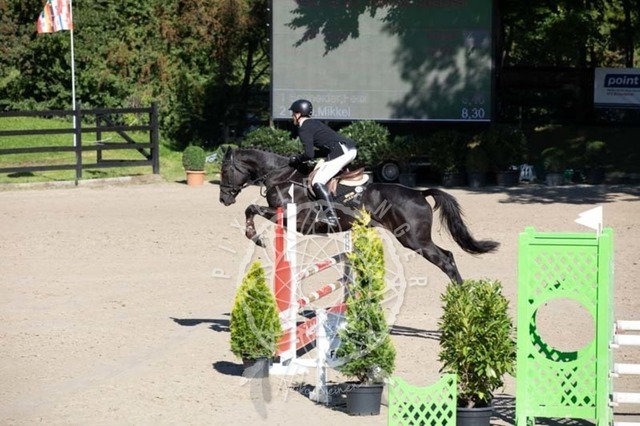 2B4A0293 | pixelfaenger - Realisiert mit Pictrs.com