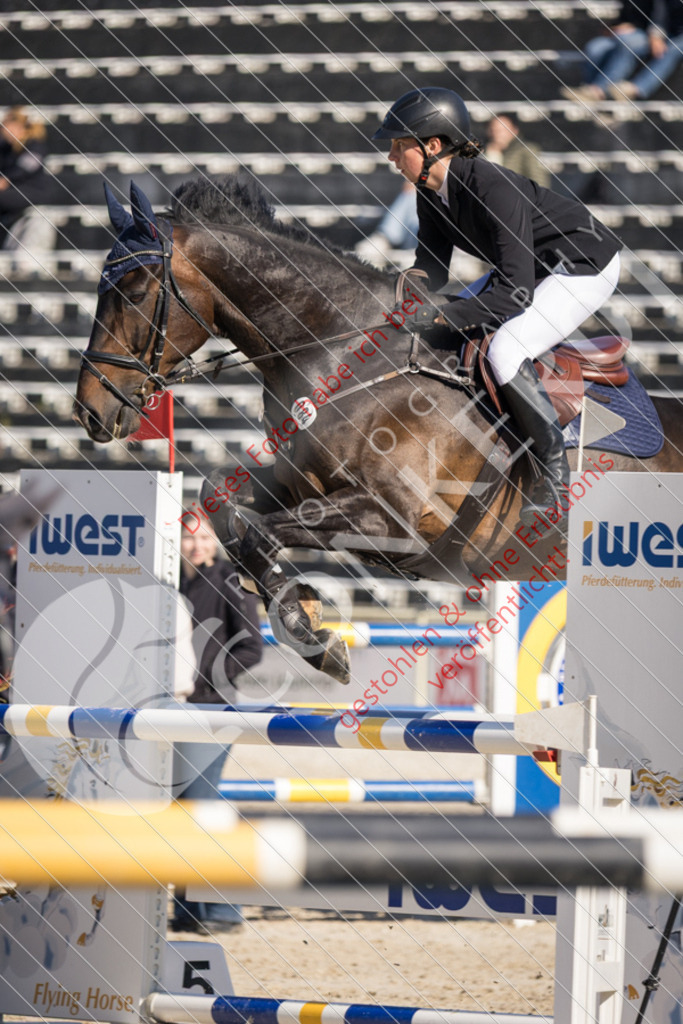 IMG_3324 | Sport-, Event- und Tierfotos in Profiqualität. Einfach auswählen, bestellen und herunterladen. Dein Moment – perfekt festgehalten.