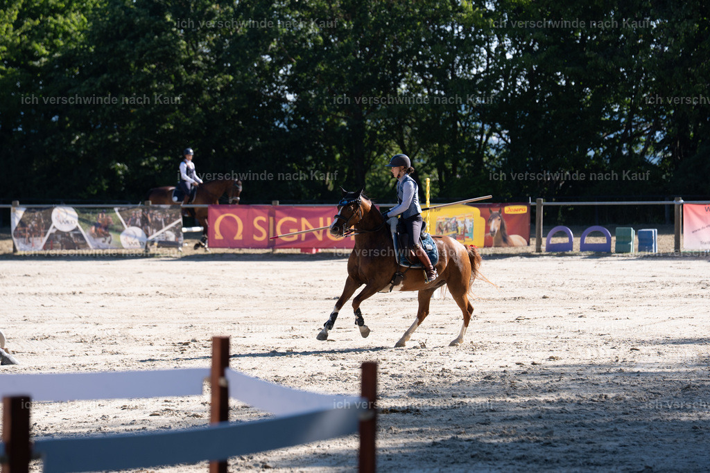 WL_SP_89_SinaFilmArt_IN05720 | working equitationturnier fotograf videograf stoibphotography marixx film working equitation deutschland reitsport turnierfotografie eventfotografie equestrian events