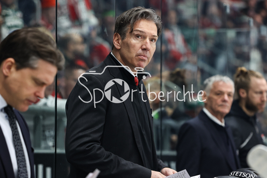 Augsburger Panther - Kölner Haie  | Haie Trainer Uwe KRUPP in Aktion / Freisteller/ Einzelfoto