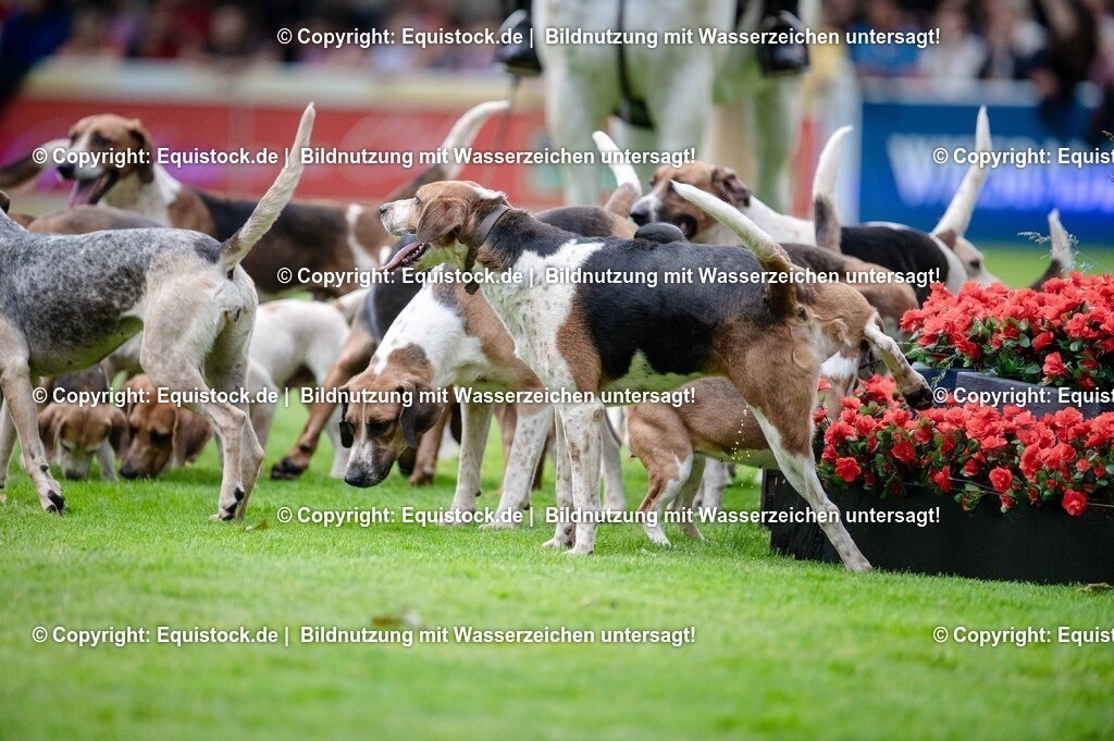 20250606_Lange-Pferdenacht_0474 | Foto: Thomas Hartig