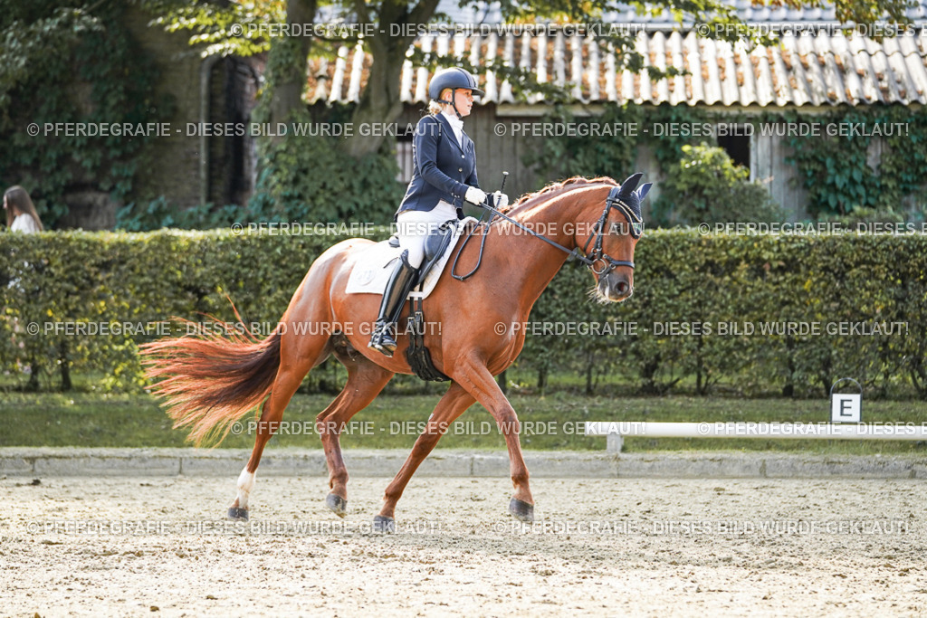 DSC07343 | Pferdegrafie